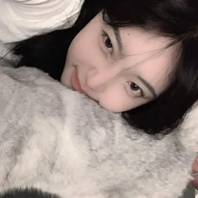 飞吧，冰上之光